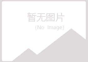 伊春新青冰夏咨询有限公司